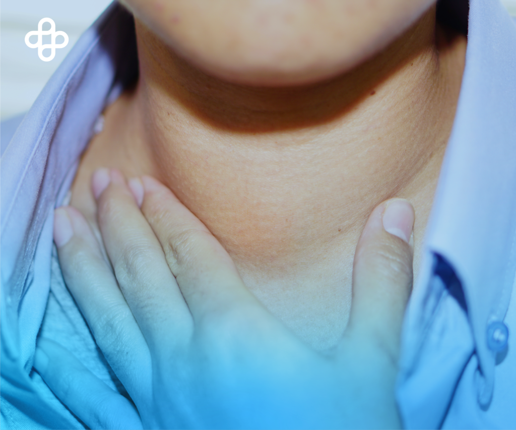 What is the Thyroid?