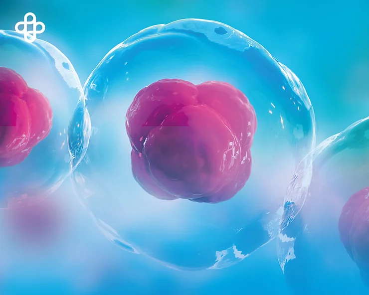 Revolutionary Stem Cell Discovery 